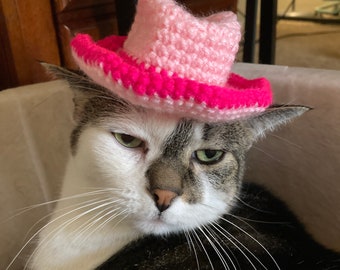 Sombrero de vaquero para gatos / sombrero de crochet para gatos