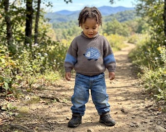 Hedgehog One of a Kind Handmade Children’s Sweater