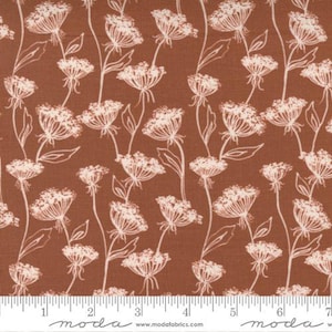 May include: A brown fabric with a white floral pattern. The flowers are stylized and resemble Queen Anne's Lace.