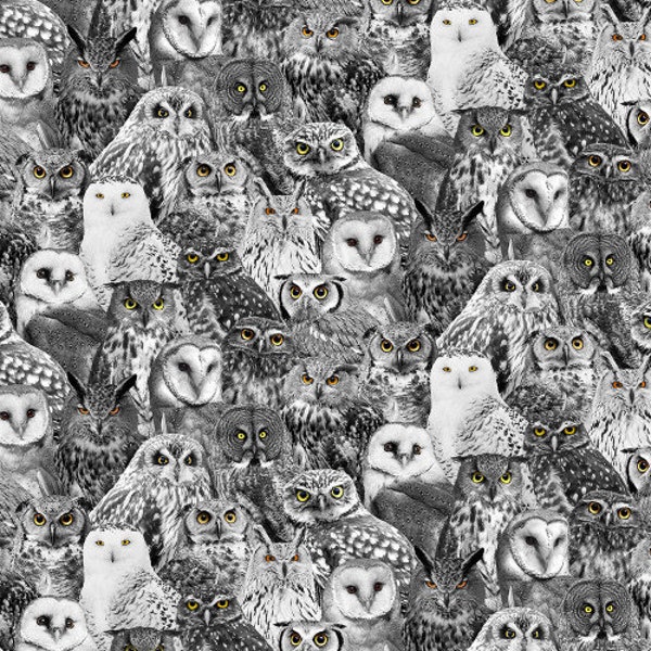 Timeless treasures fabrics wicked Halloween packed owls black 100% cotton fabric fat quarter half yard one yard