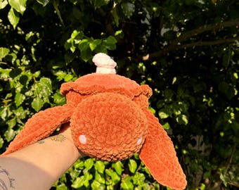 Pumpkin Pie Schildkröte