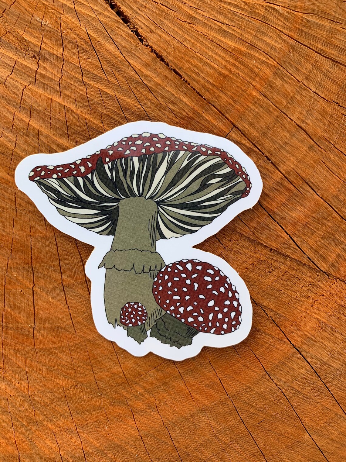 Wild Mushroom Sticker Vinyl Decal Etsy