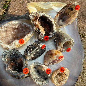 May include: A collection of various geodes, showcasing a range of colors and textures. The geodes are open, revealing crystal formations and internal structures. The collection includes specimens with brown, white, and gray hues.