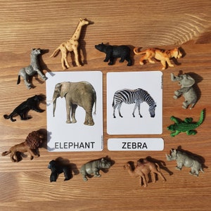 Animaux sauvages Montessori Cartes en 3 parties École à la maison Montessori Jouets éducatifs Safari Ltd Animaux de la jungle apprenant Cadeau pour enfant