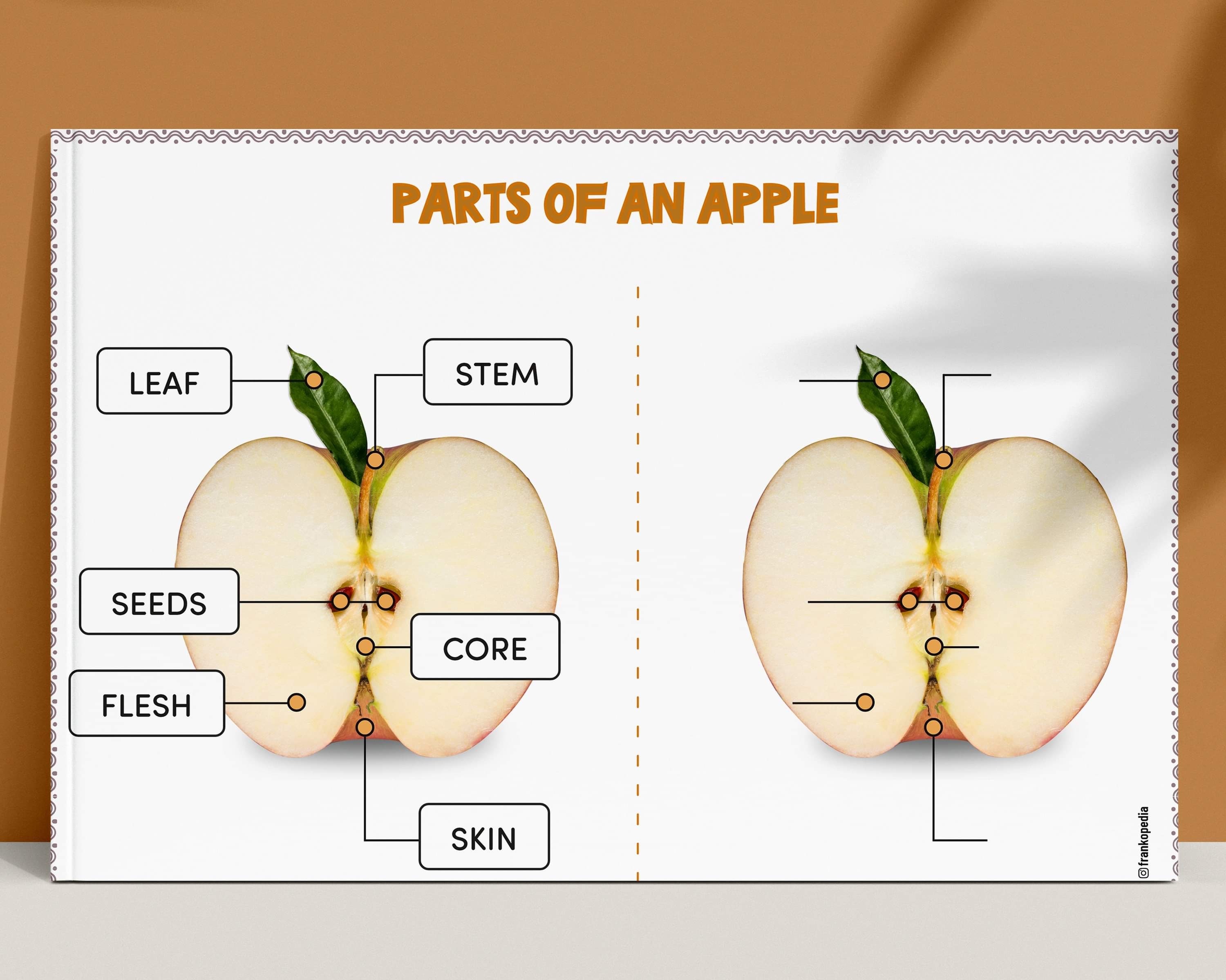 Autumn / fall preschool activities printables toddler busy | Etsy