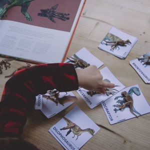 Atividade de dinossauro Atividade para crianças Saco de atividades de dinossauros Montessori Educacional Dinossauro Pré-escola Cartões e estatuetas de nomenclatura Presente para crianças