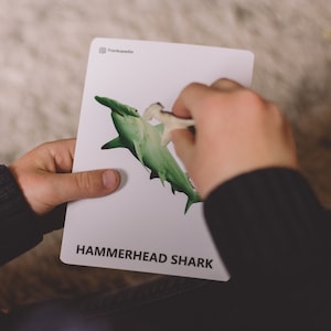Cartes animaux marins Montessori Activité animaux marins Cartes Montessori Activité pour tout-petits École à la maison Jeu d'association Cartes en 3 parties Cadeau pour enfant