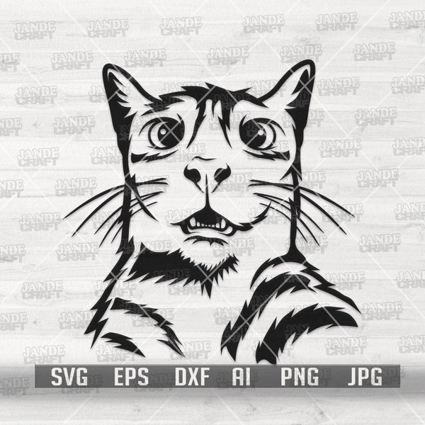 Funny Cat Shocked Face svg | Trash Animal Clipart | Street Kitten Stencil | Curious Cat Cutfile | Pet Owner Shirt png | Funny Cat Gift Idea