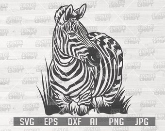 Zebra svg | Zebra png | Animal svg | Wild Animal svg | Zebra Digital Download | Zebra Clipart | Zebra Cutfile | Zebra Cutting File | Zebra