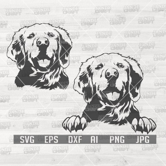 Cute Labrador Svg 2 Labrador Bundle Svg Dog Svg Labrador | Etsy