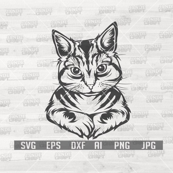 Cute Cat svg Cat Shirt svg Cat Lover svg Cat Cut Files | Etsy