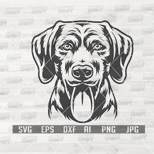 Labrador svg / Dog Lover Shirt Design png / Paw Cut File / Ritratto di animale domestico Clipart / Cucciolo Stencil / Dog Mom Gift Idea dxf / Doggo Dad Cutfile