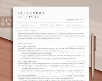 ATS Friendly Resume Template Google Docs, Word and Pages, Google Docs Resume Template, ATS Resume Template Word, Executive Resume Template