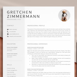 May include: A resume template with a professional profile, education, skills, and professional experience sections. The template is designed to help job seekers create a visually appealing and informative resume.