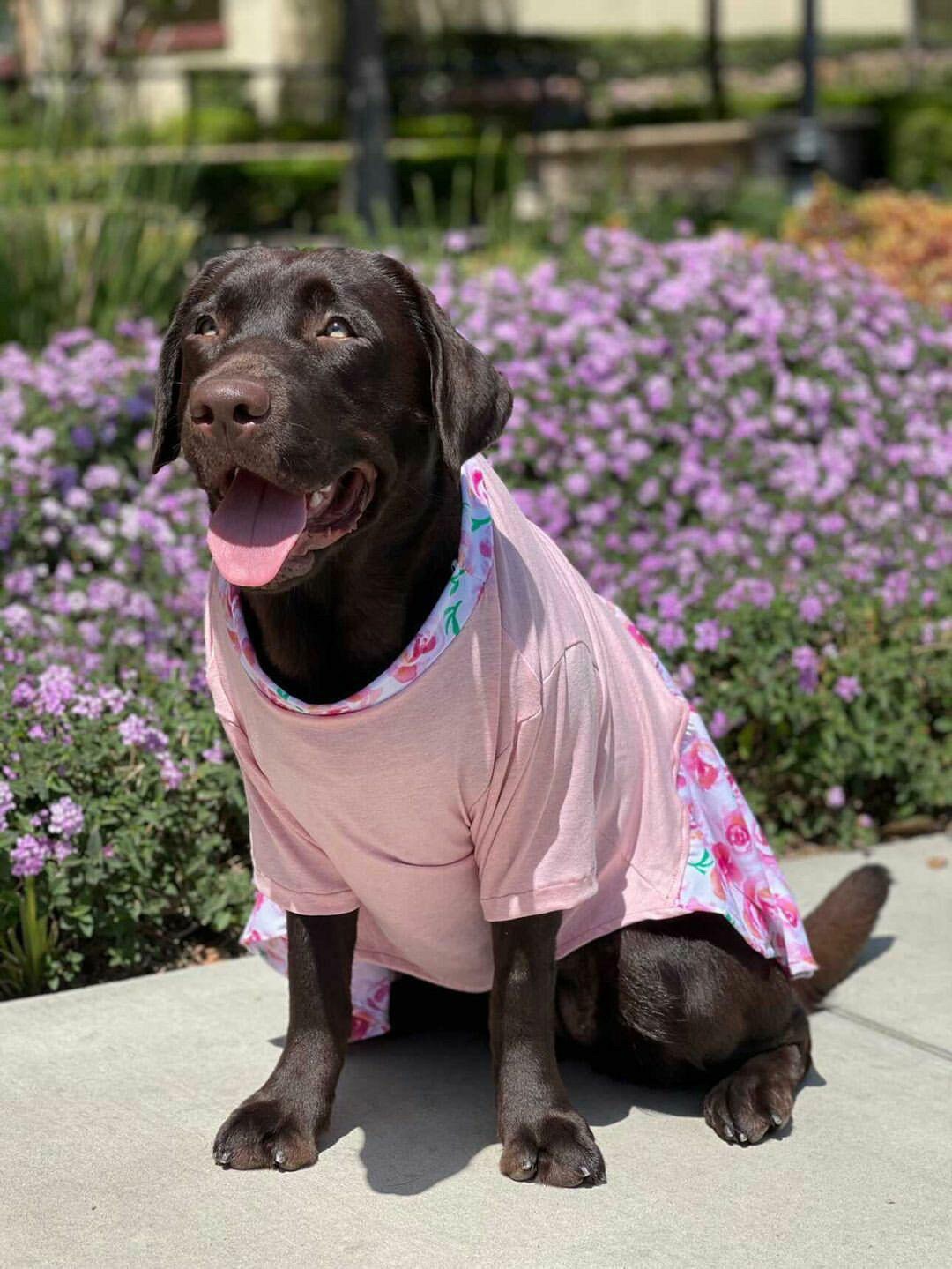 Large Breed Dog Dresses
 Floral dog dress spring dog dress XL dog dress big breed