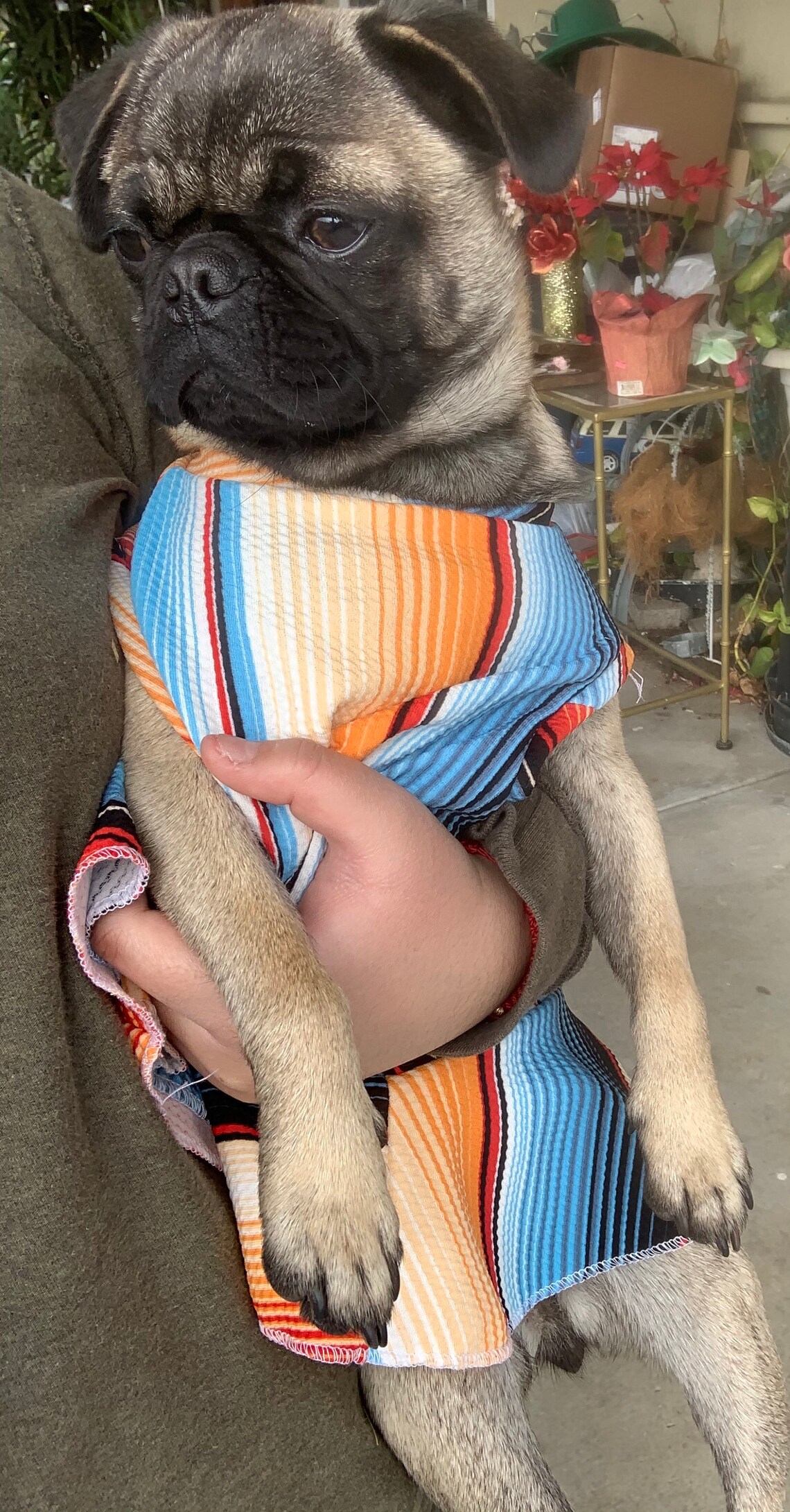 Pug dog dress dog dress custom dog dresses serape dog Etsy