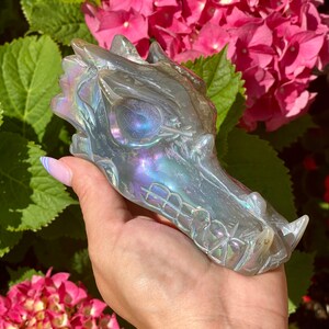 Druzy aura agate dragon head