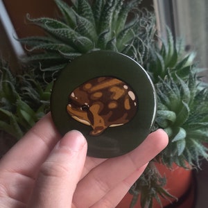 May include: A round button with a green background and a brown and tan frog illustration.