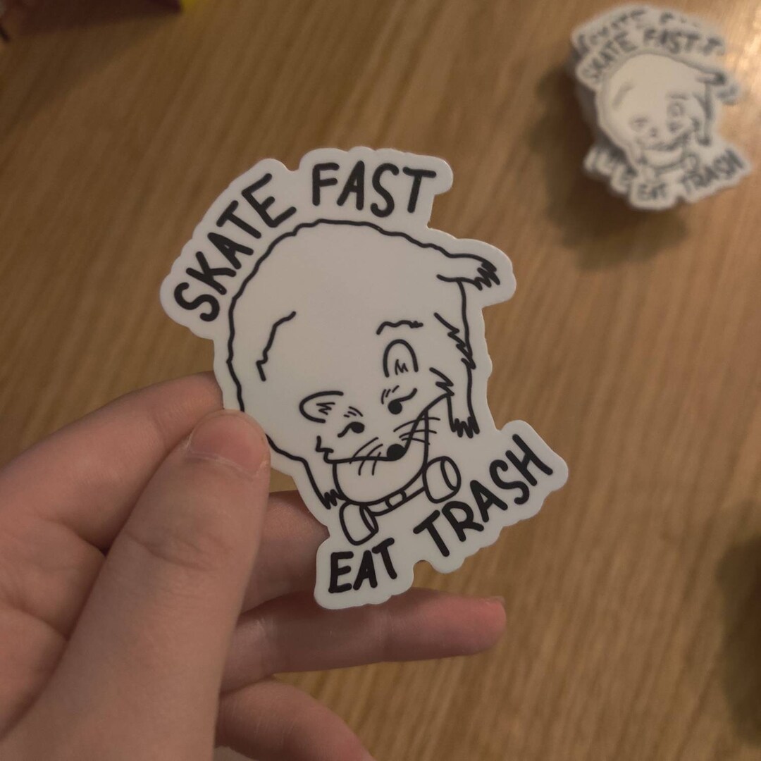 Skate Fast Raccoon Sticker - Etsy