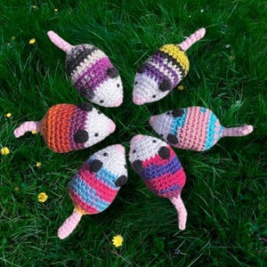 Pride Possum Plushie Crochet Custom Made to Order