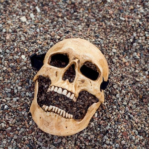 human skull mask full face realistic movable jaw halloween custom horror cosplay grim reaper art