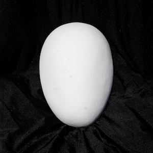 Custom Design Mask bespoke Blank Base White individual Full Face Plate Round Plastic Resin Made to order for DJ singer