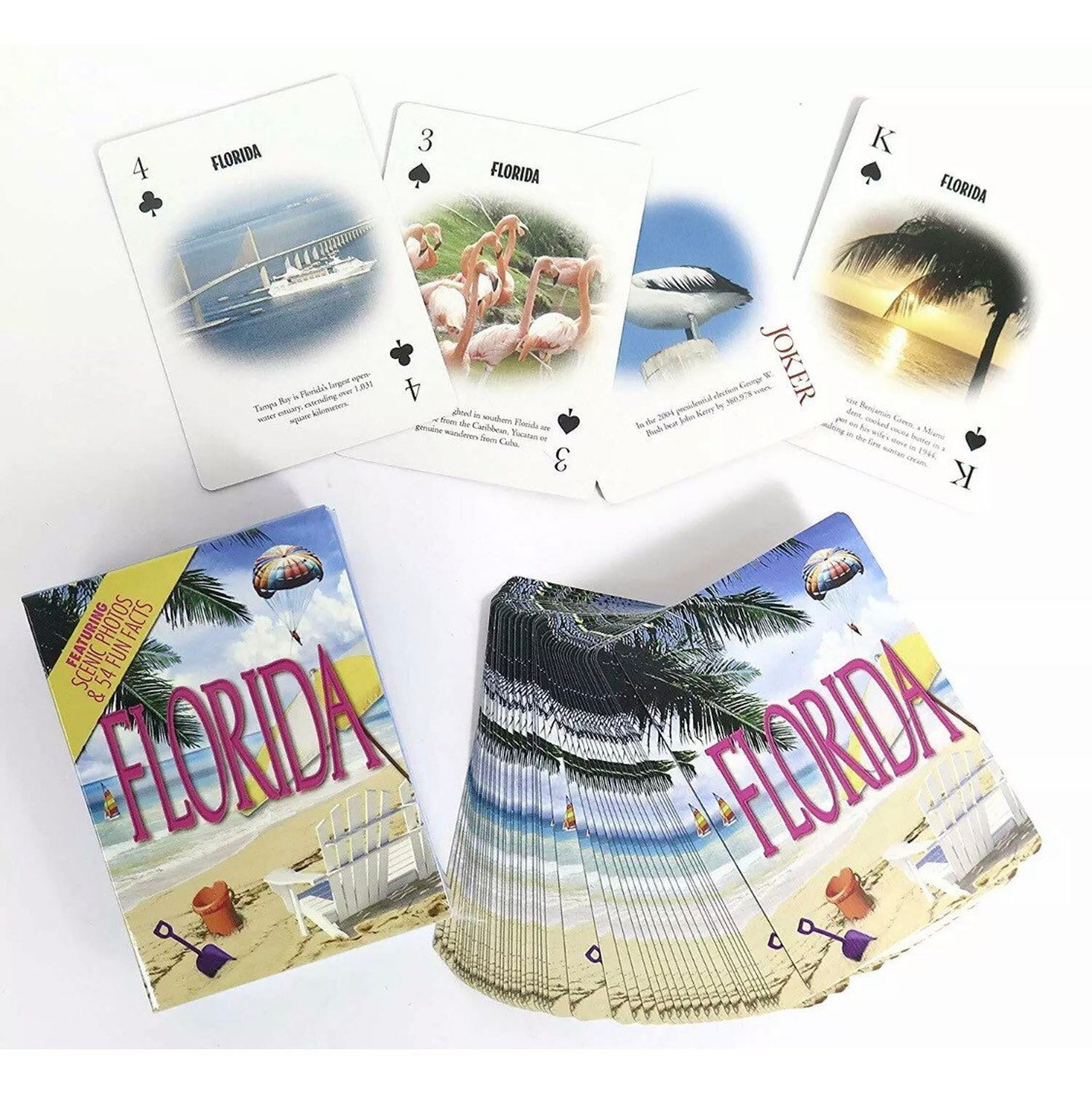 Florida souvenir playing cards 2 Decks With Metallic Gift Etsy