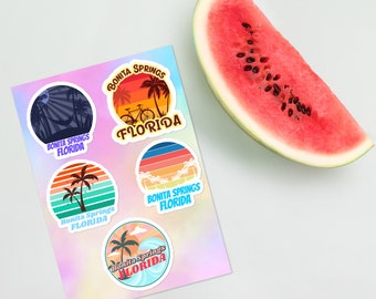Bonita Springs FLORIDA surfer tropical sea vacation beach sticker pack