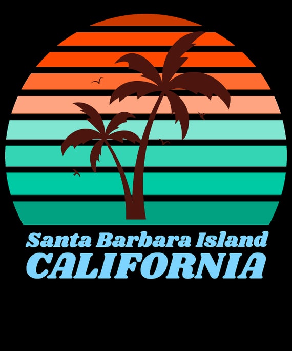 1-on-1 Private Surf Lesson In Santa Barbara | Power Traveller - Foto 13