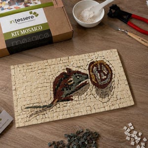 Handgjort romerskt mosaik DIY-kit för vuxna | ASAROTON MOUSE Konstreplika | Marmor | Tillverkad i Italien | Verktyg och videohandledningar