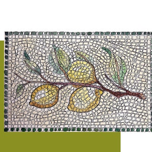 Professional mosaic kit for adults + tutorial