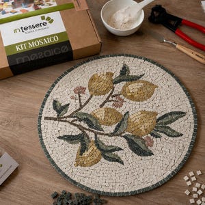 Op de afbeelding: Een ronde mozaïekset met een citroentakontwerp met gele vruchten en groene bladeren op een crèmekleurige achtergrond. De set bevat een kartonnen doos met het label Kit Mosaico, een witte kom met poeder, een rode tang en een metalen spatel.