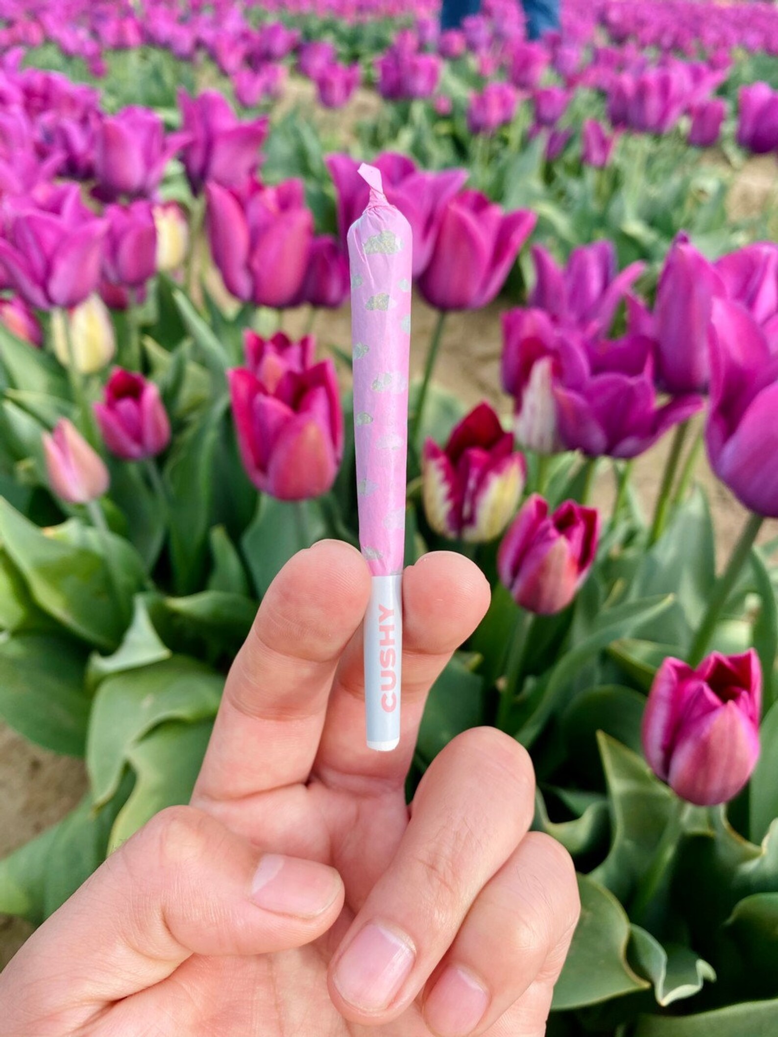 Pink Clouds Prerolled Cones Pink Rolling Paper Pink Smoking Etsy
