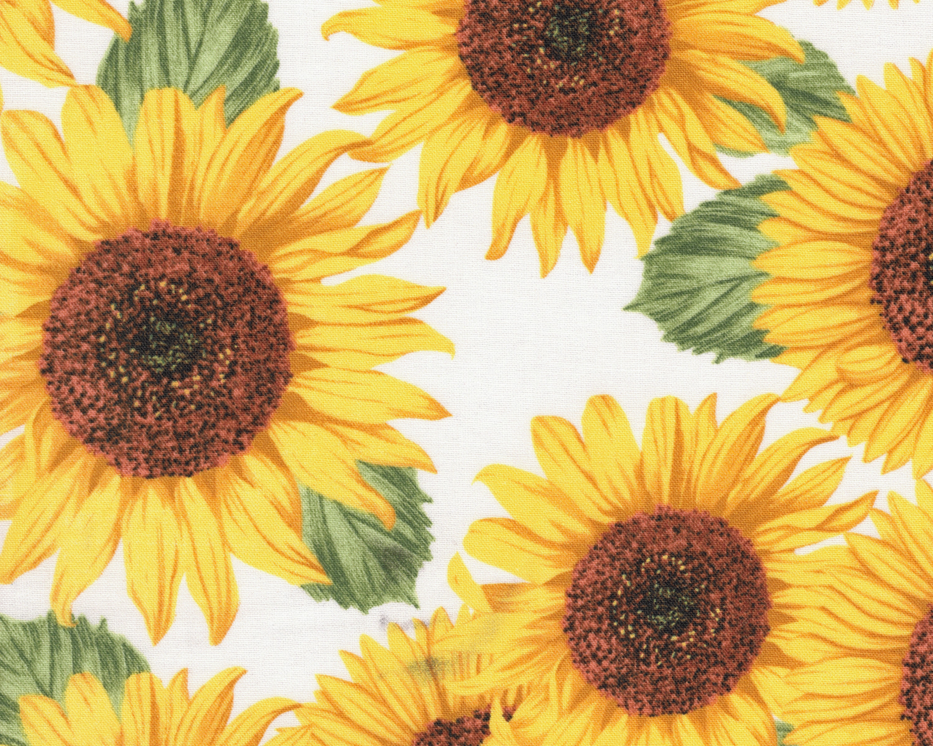 Cotton Fabric - Sunflowers on White Floral Quilting Cotton - Select Your Size or By The Yard - 100% Cotton Fabric