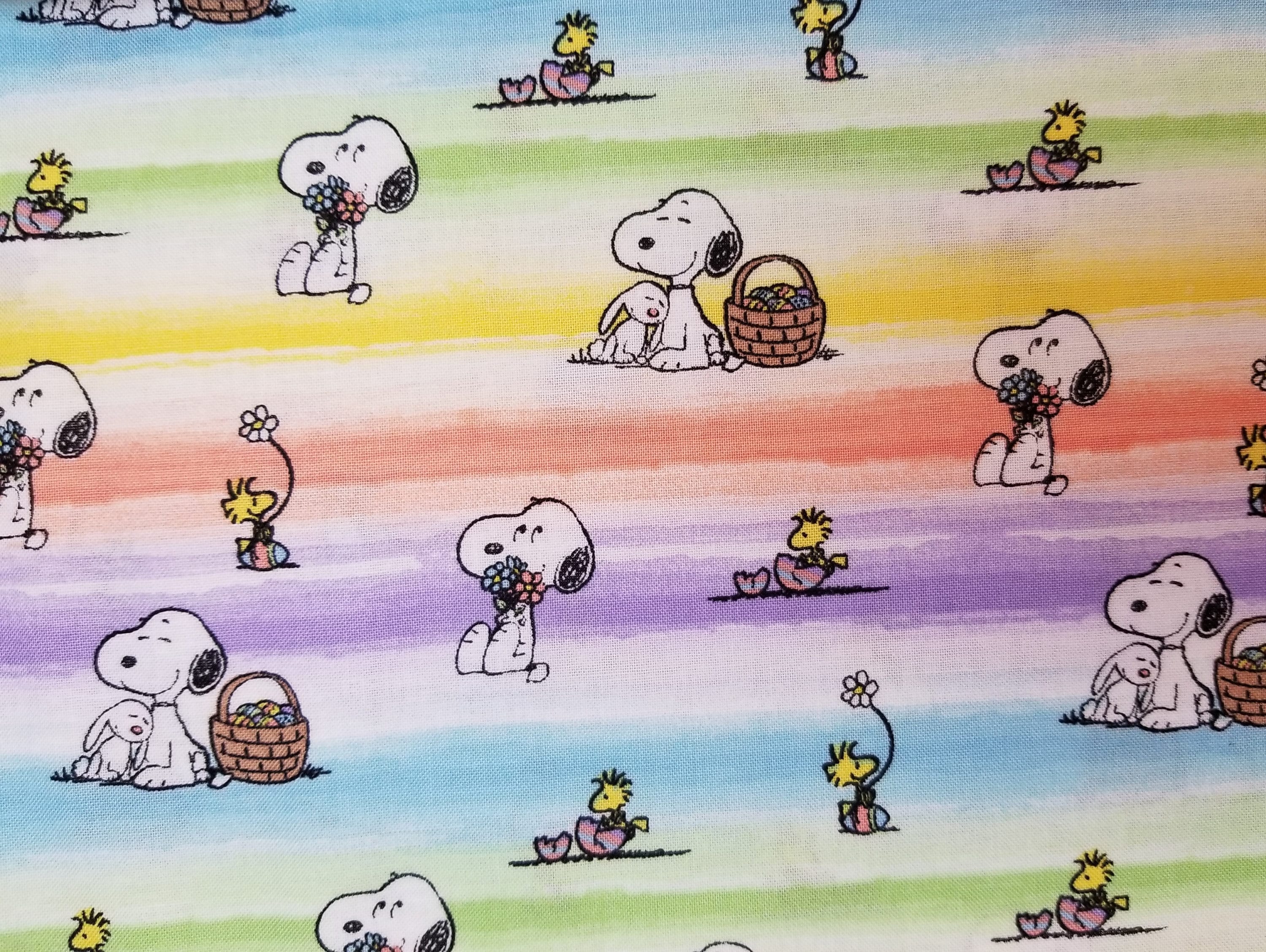 Peanuts Snoopy and Woodstock Easter Sky With Eggs Baskets
