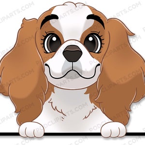 Cavalier King Charles Spaniel Cartoon Dog Portrait, Dog Drawing Png,Dog Clipart,Dog lover,Dog Face Digital Clip Art,Peeking Dog Clipart-IL52