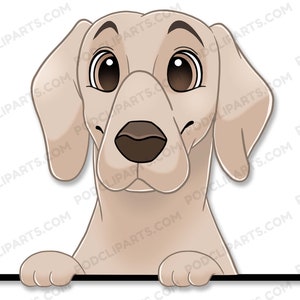 Weimaraner Dog Clipart, Small Dog, PeekABoo Dog, Cartoon Pet Portrait,Pet Cartoon,Cartoon Dog,Dog Portrait,Pet Drawing,Dog Face Digital-IL89