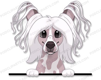 Chinese Crested Cartoon Dog Portrait, Dog Drawing Png, Dog Clipart, Dog lover PNG, Dog Face Digital Clip Art, Peeking Dog Clipart - IL54
