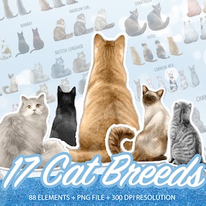 Clipart de chat, chat personnalisé Clip Art Bundle, Clipart de chats mignons, races de chat coloré, chaton Clipart, images de chat PNG, animaux de compagnie Clip Art, PNG - CA10
