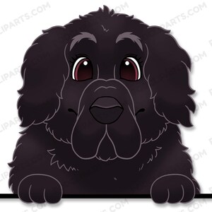Newfoundland Dog Face Digital Clip Art, Pet Portrait,Dog portrait Painting,Cartoon Dog Portrait,Digital Dog Art,Pet Portrait from Photo-IL67