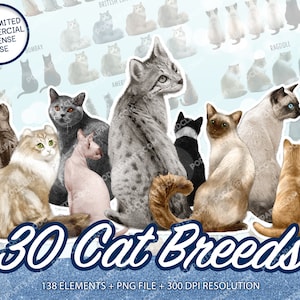 Imágenes Prediseñadas de razas de gatos, imágenes prediseñadas de gatos negros, imágenes prediseñadas de animales mascotas, imágenes prediseñadas de gatitos de gatos, imágenes prediseñadas de gatos lindos, imágenes prediseñadas de mascotas, acuarela de gato PNG -CA74