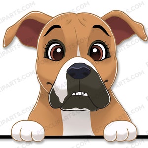 Boxer Dog Clipart, Dog PNG, Dog Breed png, Dog Face PNG, Dog PNG for Cricut, Peeking Dog, Dog Breed CLipart, Dog Face Digital Clip Art -IL18