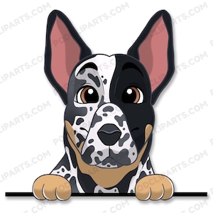 German Shorthaired Pointer Cartoon Dog Portrait,Dog Drawing Png,Dog Clipart,Dog lover png,Dog Face Digital Clip Art,Peeking Dog Clipart-IL40