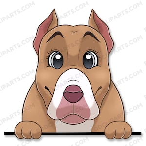 Pitbull Dog Clipart, Small Dog, PeekABoo Dog, Cartoon Pet Portrait, Pet Cartoon, Cartoon Dog, Dog Portrait,Pet Drawing,Dog Face Digital-IL75