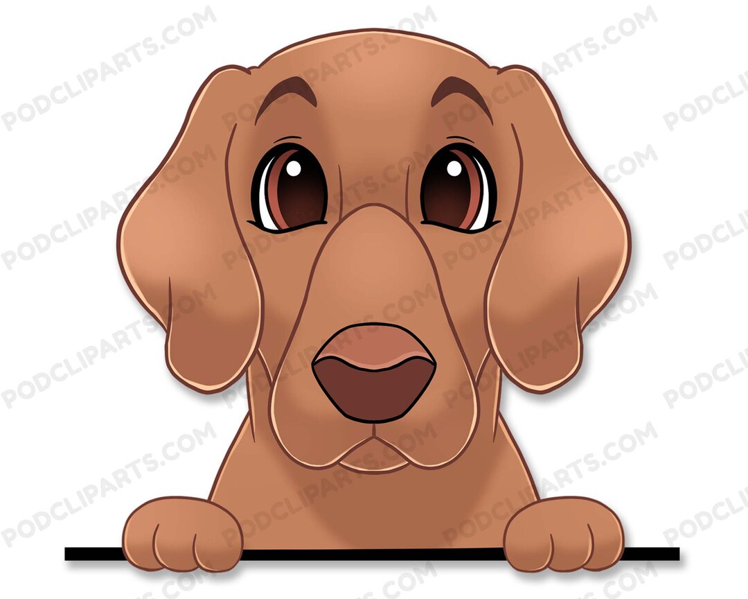 Redbone Coonhound Cartoon Dog Portrait, Dog Drawing Png, Dog Clipart