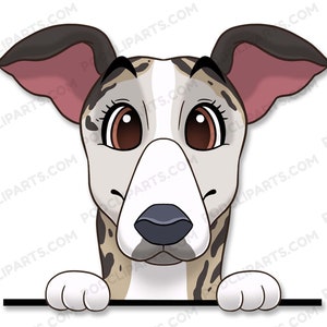 Whippet Dog Clipart, PeekABoo Dog, Cartoon Pet Portrait, Pet Cartoon, Cartoon Dog, Dog Portrait, Pet Drawing, Dog Face Digital Clip Art-IL91