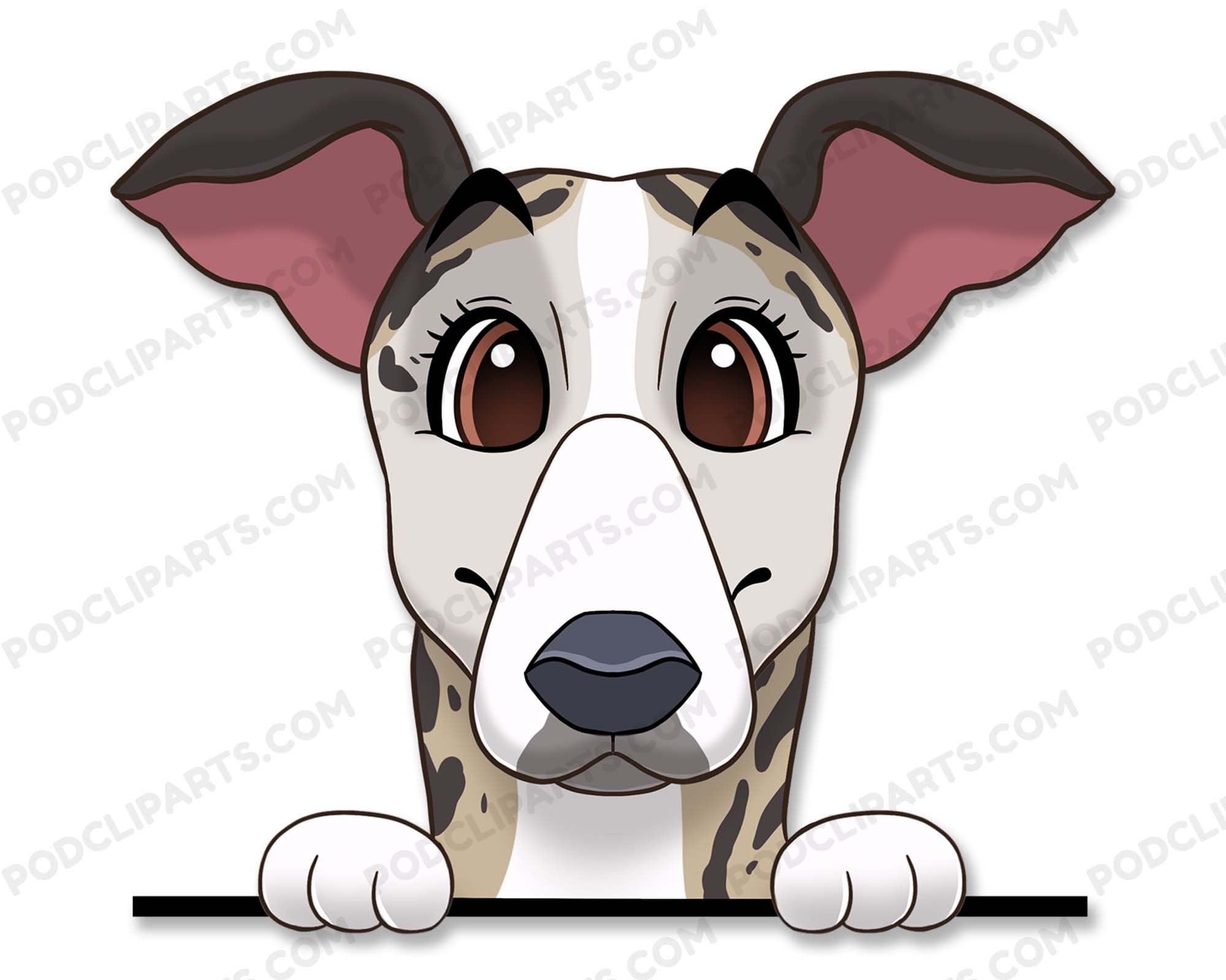 noriSTETSON Whippet ウィペット　タウニー mqdefault.jpg