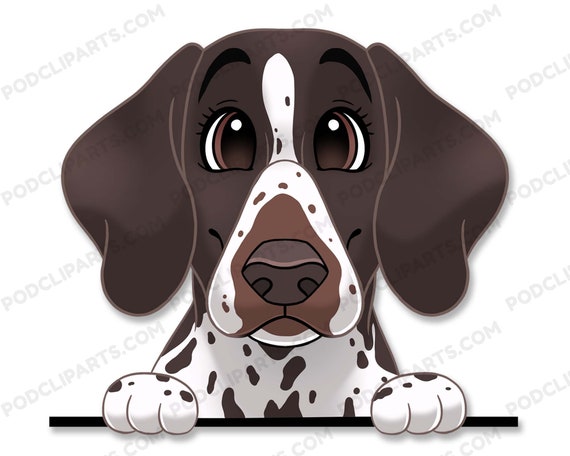 English Pointer Dog Face Digital Clip Art, Pet Portrait, Dog Painting,  Cartoon Dog Portrait, Digital Dog Art, Pet Portrait from Photo   IL