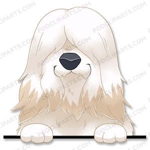 Bearded Collie Dog clipart, Dog PNG, Dog Mom png, Dog Breed Clipart, Dog Face, Dog illustration, Cricut Maker, Dog Cartoon, PNG, JPG - Il04