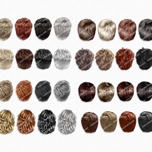 May include: A set of 40 different back-of-the-head hairstyles, including blonde, brown, black, and grey hair. The hairstyles are all in a variety of lengths and textures.